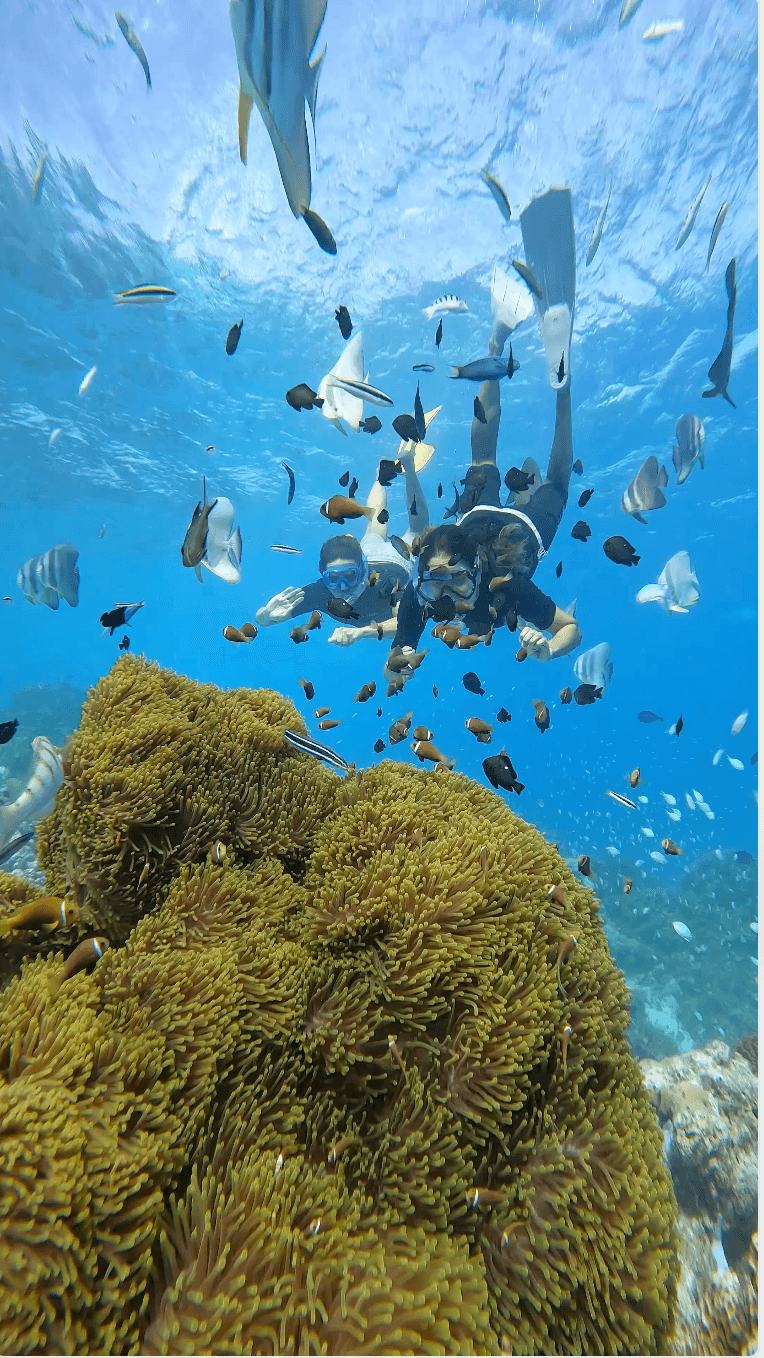 Snorkeling przy rafie koralowej