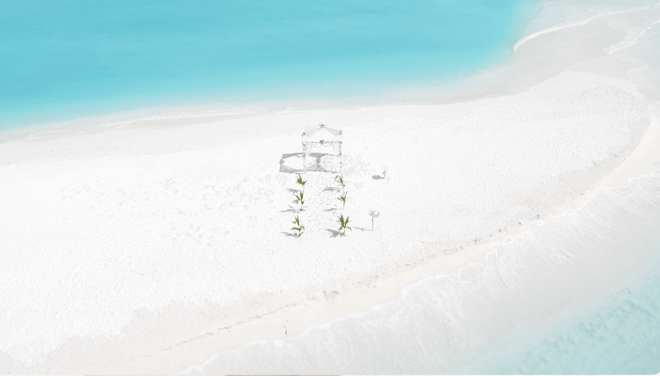 Wedding in the Maldives - photo 2