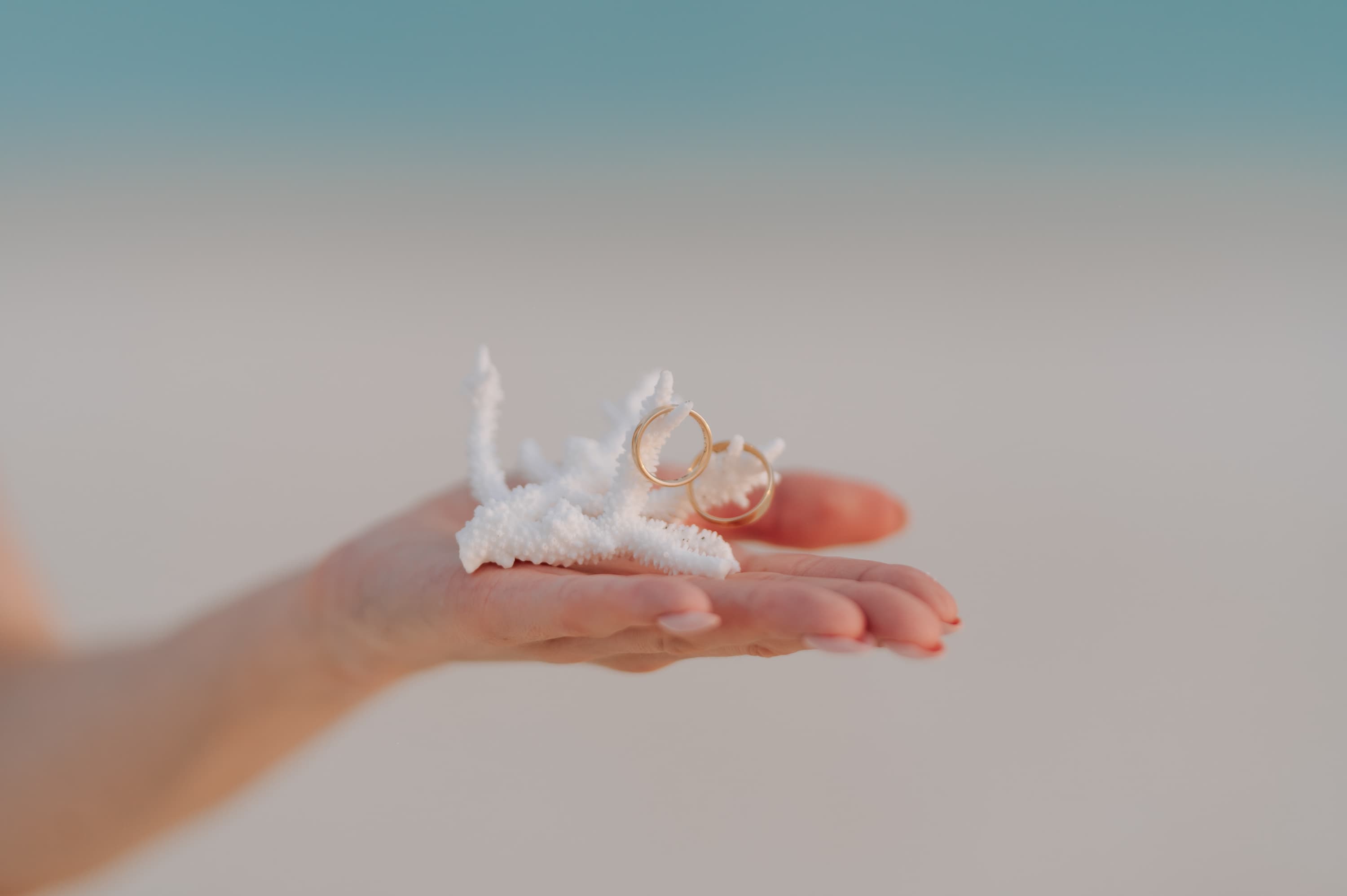Wedding in the Maldives - photo 5